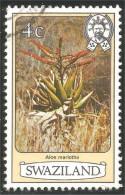 844 Swaziland Fleur Flower Blume Aloe Marlothii Aloes (SWZ-29a) - Swaziland (1968-...)