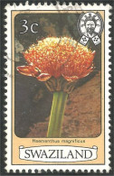 844 Swaziland Fleur Flower Blume Haemanthus (SWZ-28c) - Otros & Sin Clasificación