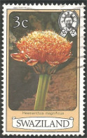 844 Swaziland Fleur Flower Blume Haemanthus (SWZ-28b) - Swaziland (1968-...)