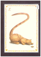 FORMAT 10x15cm - LE CHAT ALPHABET - DESSINS DE ARMELLE BOY - TB - Collections & Lots