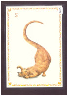 FORMAT 10x15cm - LE CHAT ALPHABET - DESSINS DE ARMELLE BOY - TB - Collections & Lots