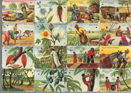 GF1510 - PLANCHE 32 CHROMOS GAUFRES CHICOREE MOKTA WILLIOT - PRODUITS COLONIAUX - Autres & Non Classés