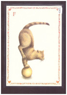 FORMAT 10x15cm - LE CHAT ALPHABET - DESSINS DE ARMELLE BOY - TB - Sammlungen & Sammellose