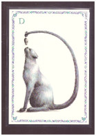 FORMAT 10x15cm - LE CHAT ALPHABET - DESSINS DE ARMELLE BOY - TB - Collections & Lots