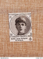 Decorato Con Medaglia Di Bronzo Carlo Pellegrini Di Bologna Guerra Mondiale WW1 - Altri & Non Classificati