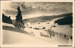 Rehefeld-Altenberg (Erzgebirge) Stadt Im Winter Erzgebirge 1925 Walter Hahn:6188 - Rehefeld