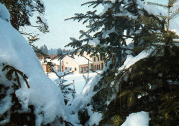 Corcieux - Centre De Vacances Clairsapin, Les Arrentès De Corcieux - Corcieux