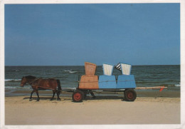 9000795 - Loddin-Kölpinsee - Usedom - Saisoneröffnung Mit Pferd - Greifswald