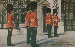 AK London - Changing The Guards At Buckingham Palace  (68528) - Buckingham Palace