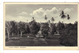 Zanzibar - Clove Avenue, General View - Tanzania