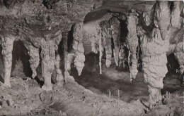 61310 - Sonnenbühl-Genkingen - Unterhausen, Nebelhöhle - 1964 - Reutlingen