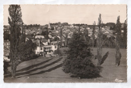 HAGETMAU  DANS LES LANDES  VUE PANORAMIQUE  CPA  CIRCULEE - Hagetmau