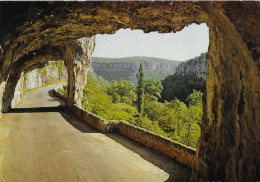 RUOMS ARDECHE, LE DEFILE, RARE VUE DES EDITIONS DE FRANCE MARSEILLE, FLAMME SAINT MONTAN 1980 SUR SABINE, VOIR LES SCANS - Ruoms