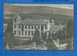 CPA - 09 - Lavelanet - Les Aunaies, Propriété De M. E. Bastide - Colorisée - Circulée En 1907 - Lavelanet