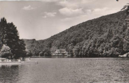 17616 - Bad Lauterberg - Wiesenbeker Teich - Ca. 1955 - Bad Lauterberg