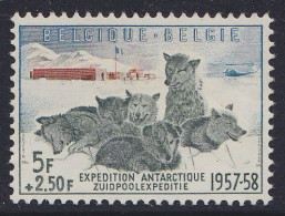 Belgique - N°1031 ** Expédition Antarctique Belge 1957-1958 - Antarctische Expedities