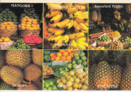 Philippines Fruits Mango Banana Durian Chico Pineapple - Philippines