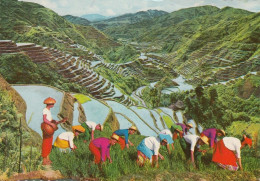 Philippines - Rice Terraces 1987 - Philippinen