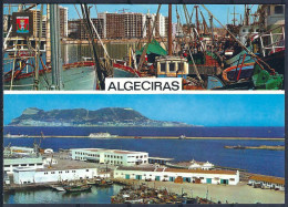 ALGECIRAS - Muelle Pesquero - Puerto - Cádiz