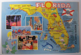 ETATS-UNIS - FLORIDA - Map And Views - Andere & Zonder Classificatie