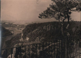 53124 - Wehlen - Blick Vom Basteifelsen - 1962 - Wehlen