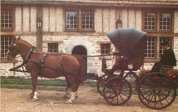 77 - LIVERDY EN BRIE TOURNAN MUSEE DU CHEVAL  - Tournan En Brie