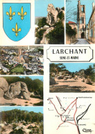 77 - LARCHANT MULTIVUES - Larchant