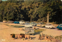 78 - CHÂTEAU DE THOIRY RESERVE AFRICAINE LES LIONS - Thoiry