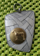 Medaile :  Paarden Keuren - Sch. Landb. Rijp Holten 29-4-1967 . -  Original Foto  !!  Medallion  Dutch - Autres & Non Classés