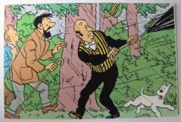 BANDE DESSINEE - Hergé - Tintin - Comicfiguren