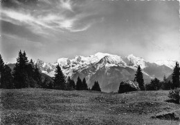PASSY  Plateau D'assy Vue Sur La Chaine Du Mont Blanc    43  (scan Recto Verso)MG2868UND - Passy