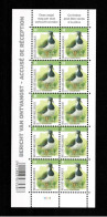 Belgique Feuille Complète 2013 Oiseaux BUZIN COB F 4367 (planche 1) VF 13,5 € - 2011-2020