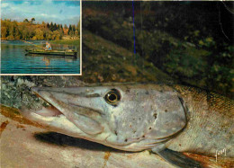 Animaux - Poissons - Brochet Au Four - Recette De Mapie De Toulouse-Lautrec - Cuisine - Gastronomie - CPM - Voir Scans R - Poissons Et Crustacés