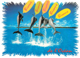 Animaux - Dauphin - Dolphin - Carte à Message - CPM - Carte Neuve - Voir Scans Recto-Verso - Delfines