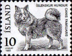 Islande Poste N** Yv:503/504 Animaux Nordiques Canis Familiaris & Alopex Lagopus - Neufs