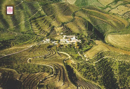 VALENÇA DO DOURO - Quinta Do Bom-Retiro, Rio Torto   (2 Scans) - Viseu