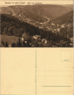 Ansichtskarte Kipsdorf-Altenberg (Erzgebirge) Blick Vom Spitzberg 1915 - Kipsdorf