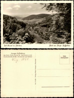 Ansichtskarte Bad Grund (Harz) Umland-Ansicht; Harz Panorama 1951 - Bad Grund