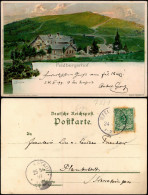 Titisee-Neustadt Feldberg Und Feldbergerhof , Künstlerkarte Biese 1899 - Titisee-Neustadt