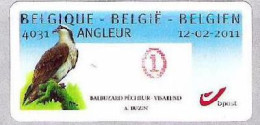 Belgium Belgique Belgium 2011 Osprey (Pandion Haliaetus) Bird Stamp MNH - Neufs