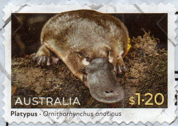 AUSTRALIA 2022 $1.20 Multicoloured, Native Animals - Platypus Self Adhesive DIE-CUT-USED FU - Gebraucht