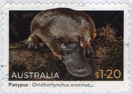 AUSTRALIA 2022 $1.20 Multicoloured, Native Animals - Platypus Self Adhesive DIE-CUT-USED FU - Usados