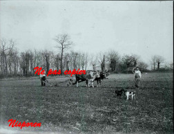 Scène De Labour - Début 20 ème Siècle - Beauvoir Sur Niort - Glass Slides