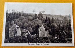 MALMEDY   -  Ruines De Renastène - Malmedy