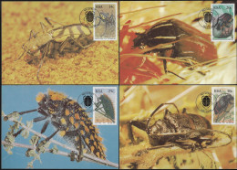 Afrique Du Sud 1987 Y&T 618 à 621 Sur Cartes Maxima. Insectes - Coleotteri