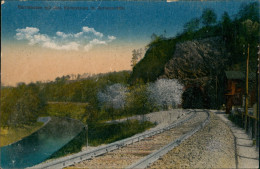 Frankenberg (Sachsen) Harrasfelsen Eisenbahntunnel Körnerkreuz Zschopau-Tal 1910 - Frankenberg