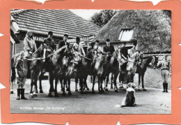 NEDERLAND. DRENTHE. BORGER.CHEVAL.HONDSRUG . Achat Immédiat - Autres & Non Classés