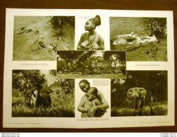 Colonnello Ashton E Hemelers In Uganda E Zaire Nel 1932 Parco Nazionale Alberto - Other & Unclassified