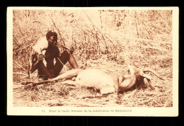 Tchad Dans La Brousse De Baïbokoum - Tchad