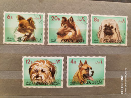 1971	Oman	Dogs (F87) - Omán